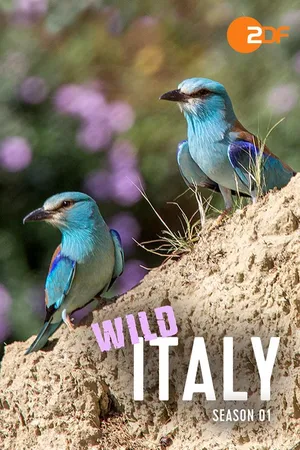 Wild Italy