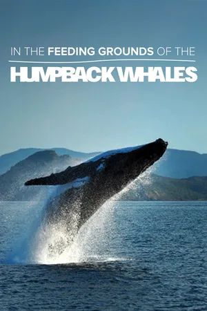 In the Feeding Grounds of the Humpback Whales