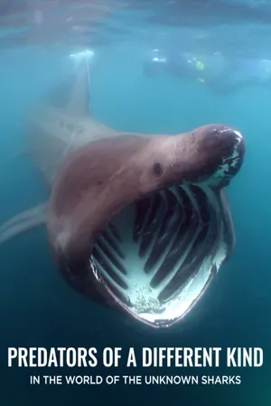 Predators of a Different Kind - In the World of the Unknown Sharks