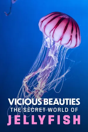Vicious Beauties - The Secret World of Jellyfish