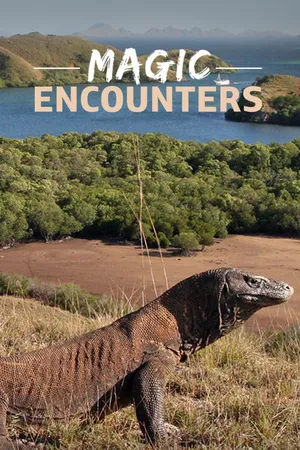 Magic Encounters