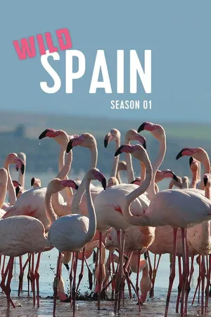 Wild Spain