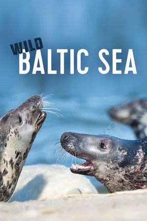 Wild Baltic Sea
