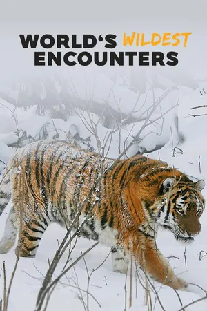 World's Wildest Encounters