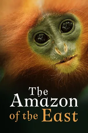 The Amazon of the East