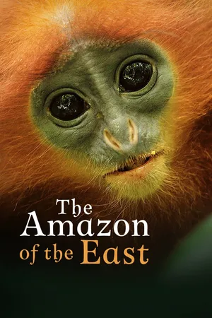 The Amazon of the East