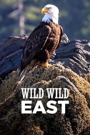 Wild Wild East (LAS)