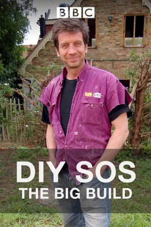 DIY SOS