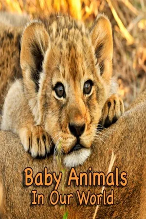 Baby Animals In Our World