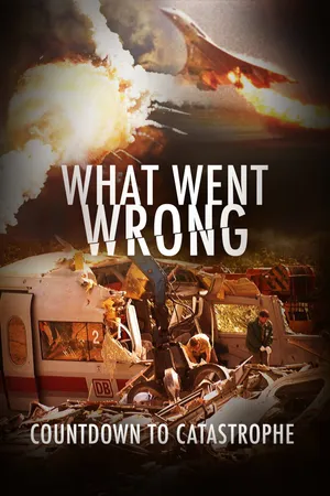 What Went Wrong: Countdown to Catastrophe