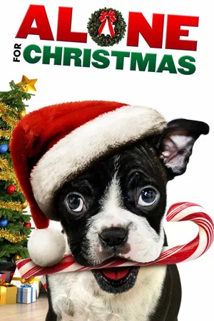 Alone for Christmas (2013)