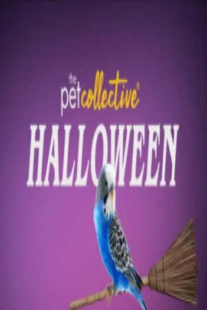 Pet Collective Halloween