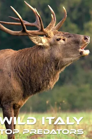 Wild Italy: Top Predators