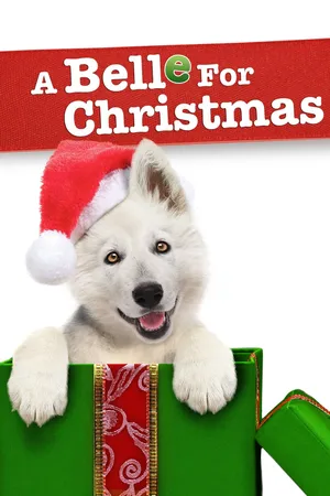 Eine Schönheit zu Weihnachten