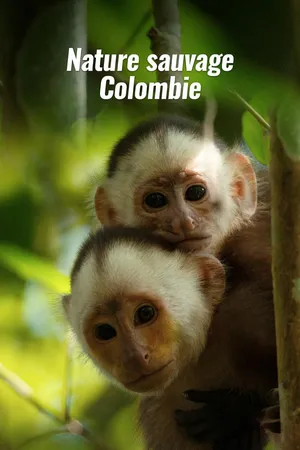 Nature sauvage : Colombie