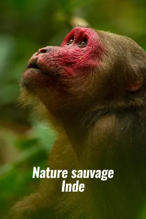 Nature sauvage : Inde