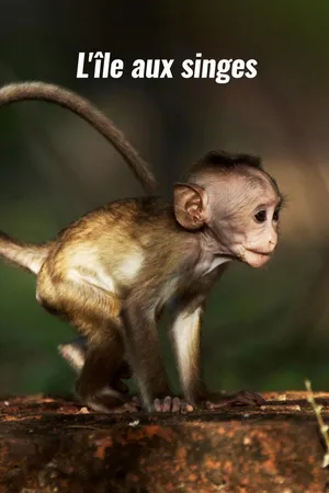 L'île aux singes