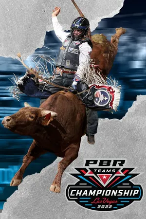 Team Series 2022 Championship