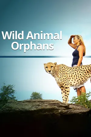 Wild Animal Orphans