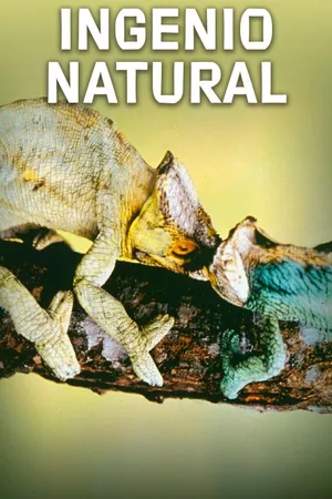 Ingenio Natural