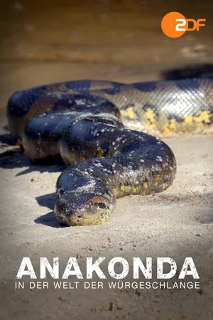 Anakonda – in der Welt der Würgeschlange