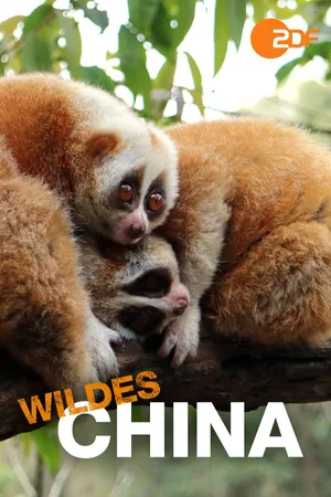 Wildes China