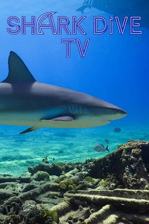 Shark Dive TV