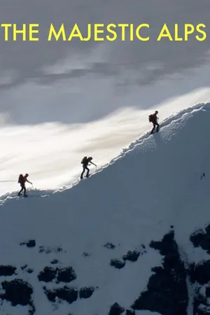 Die Alpen von oben