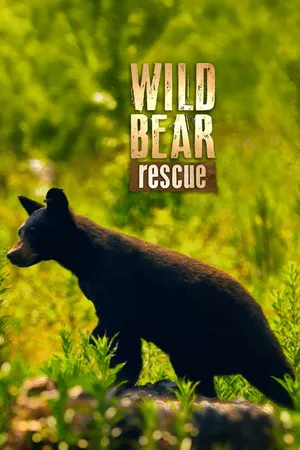 Wild Bear Rescue