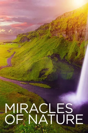 Miracles of Nature