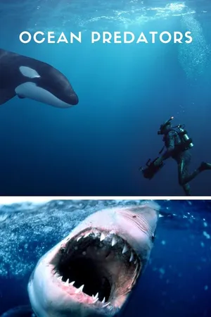 Ocean Predators