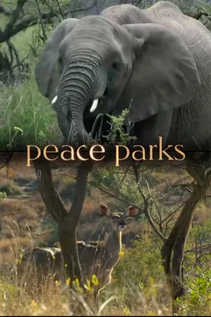 Peace Parks