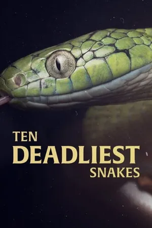 Ten Deadliest Snakes With Nigel Marven
