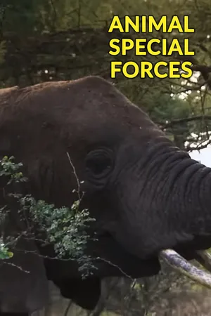 Animal Special Forces