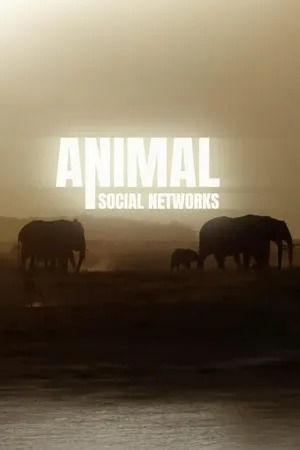 Animal Social Networks