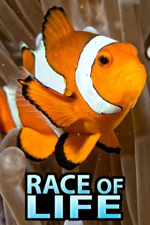 Race of Life