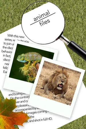 Animal Files
