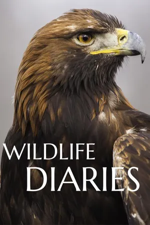 Wildlife Diares