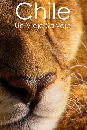 Chile: un viaje salvaje