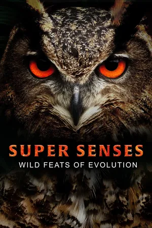 Super Senses