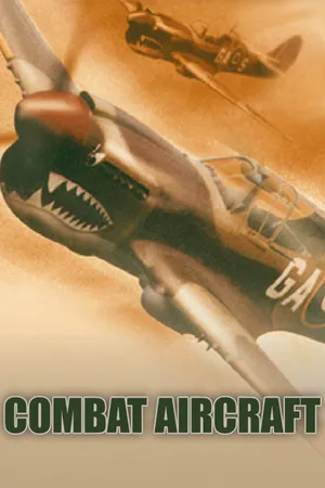 Combat Aircrafts