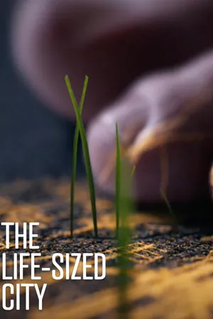 The Life Sized City
