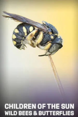 Children of the Sun – Wild Bees & Butterflies