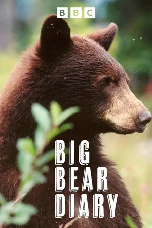 Big Bear Diary
