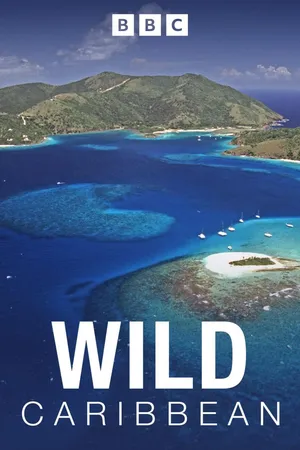 Wild Caribbean