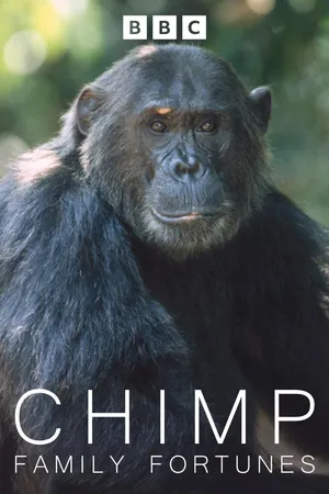 Chimp Family Fortunes