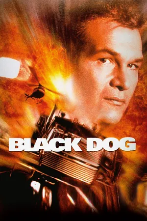 Black Dog