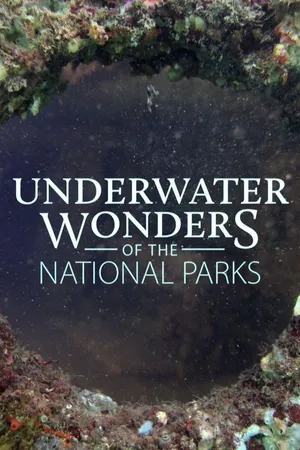 Underwater Wonders Of The National Parks