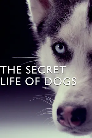 The Secret Life of Dogs