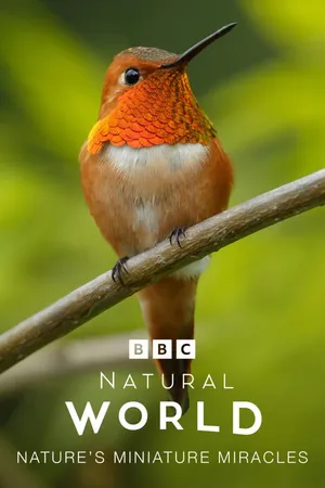 Natural World Nature's Miniature Miracles